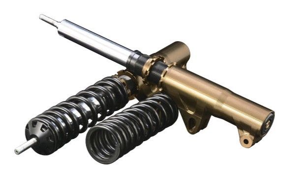 Pro Rally inverted strut with springs