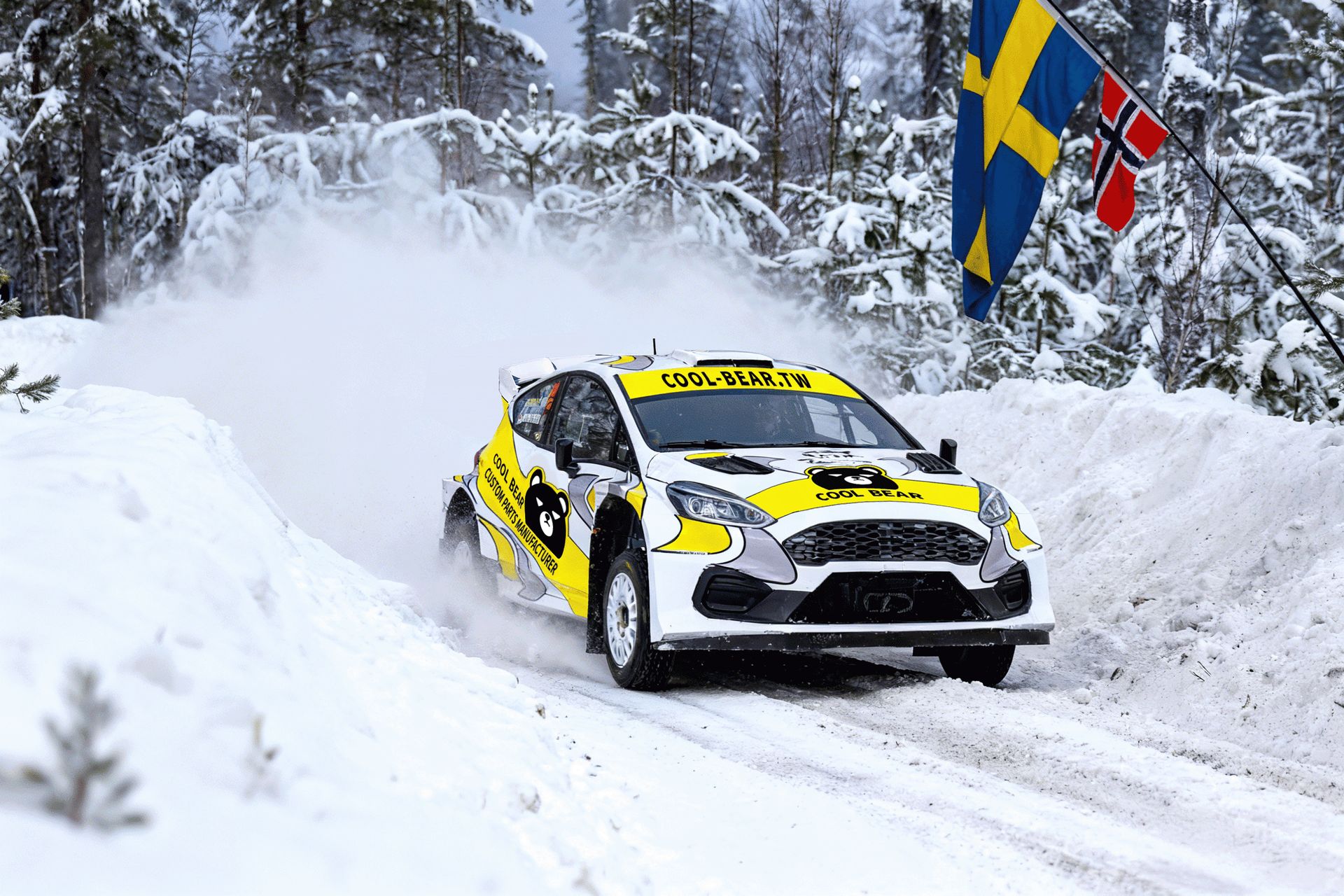 Ford Fiesta Rally2 (2 / 5)